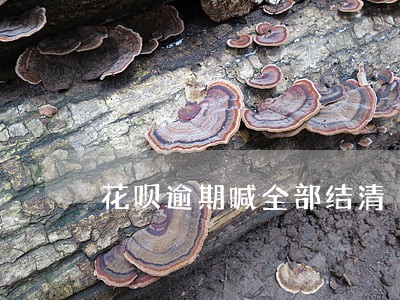 花呗逾期喊全部结清 花呗逾期喊全部结清