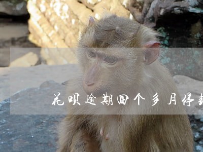 花呗逾期四个多月停封多久 花呗逾期四个多月停封多久