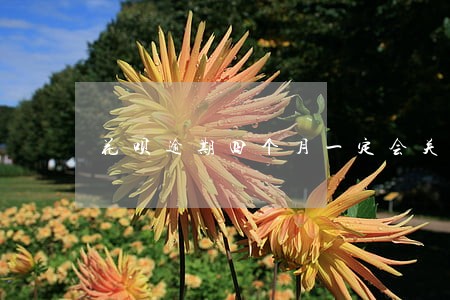 花呗逾期四个月一定会关闭吗 花呗逾期四个月一定会关闭吗