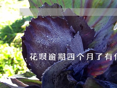 花呗逾期四个月了有什么问题 花呗逾期四个月了有什么问题