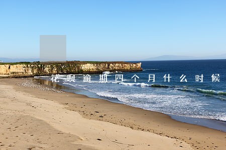 花呗逾期四个月什么时候能恢复 花呗逾期四个月什么时候能恢复
