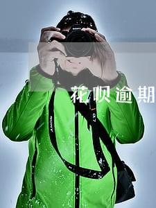 花呗逾期四个月会上征信吗 花呗逾期四个月会上征信吗