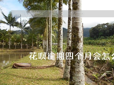 花呗逾期四个月会怎么用 花呗逾期四个月会怎么用