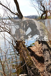 花呗逾期四个月信用中等 花呗逾期四个月信用中等