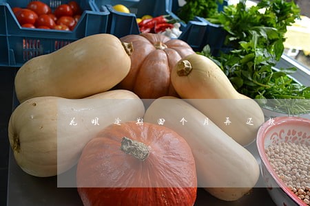 花呗逾期四个月再还款 花呗逾期四个月再还款