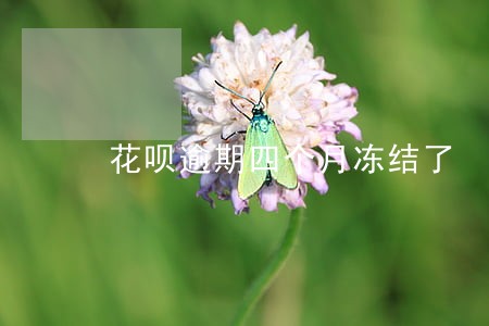 花呗逾期四个月冻结了 花呗逾期四个月冻结了