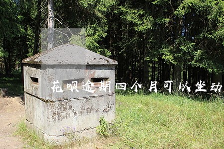 花呗逾期四个月可以坐动车吗 花呗逾期四个月可以坐动车吗