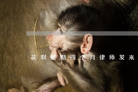 花呗逾期四个月律师发来信息 花呗逾期四个月律师发来信息