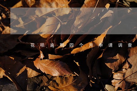 花呗逾期四个月申请调查上门 花呗逾期四个月申请调查上门
