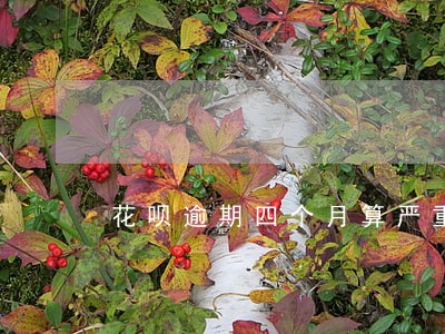 花呗逾期四个月算严重逾期吗 花呗逾期四个月算严重逾期吗