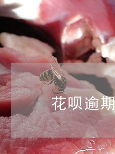 花呗逾期四个月能贷款吗 花呗逾期四个月能贷款吗