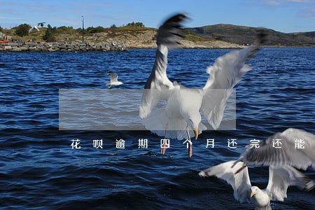 花呗逾期四个月还完还能用吗 花呗逾期四个月还完还能用吗