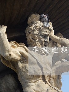 花呗逾期四个月还有开通的可能吗 花呗逾期四个月还有开通的可能吗