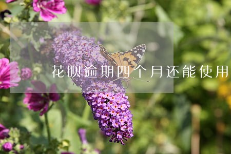 花呗逾期四个月还能使用吗 花呗逾期四个月还能使用吗