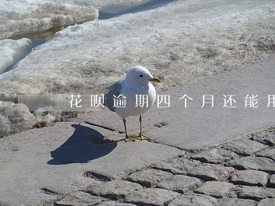 花呗逾期四个月还能用 花呗逾期四个月还能用
