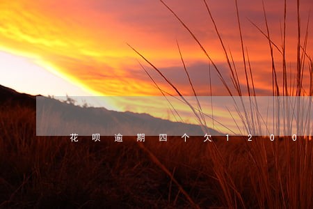花呗逾期四个欠1200 花呗逾期四个欠1200