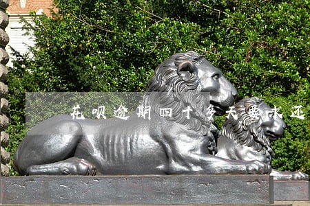 花呗逾期四十多天要求还全款