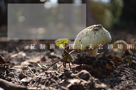 花呗逾期四十天会通知朋友吗 花呗逾期四十天会通知朋友吗
