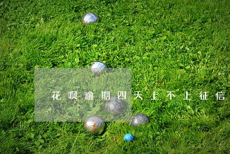 花呗逾期四天上不上征信 花呗逾期四天上不上征信