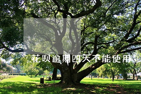 花呗逾期四天不能使用 花呗逾期四天不能使用