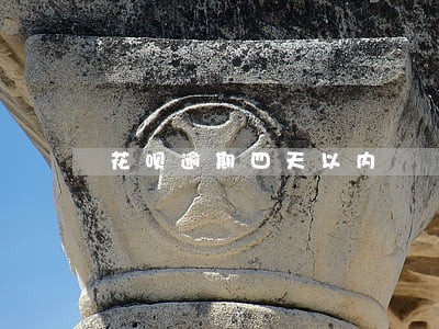 花呗逾期四天以内 花呗逾期四天以内