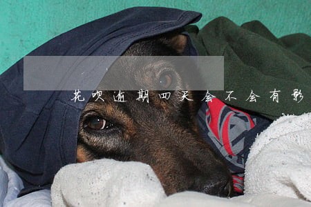 花呗逾期四天会不会有影响 花呗逾期四天会不会有影响
