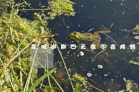 花呗逾期四天会不会降额 花呗逾期四天会不会降额