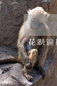 花呗逾期四天会怎样 花呗逾期四天会怎样