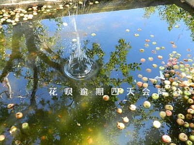 花呗逾期四天会降分吗 花呗逾期四天会降分吗
