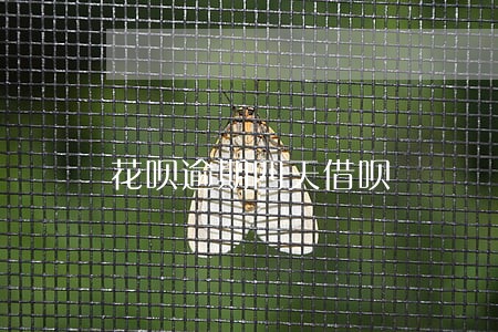 花呗逾期四天借呗 花呗逾期四天借呗