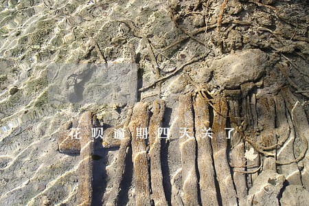 花呗逾期四天关了 花呗逾期四天关了