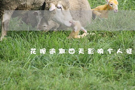 花呗逾期四天影响个人征信吗 花呗逾期四天影响个人征信吗