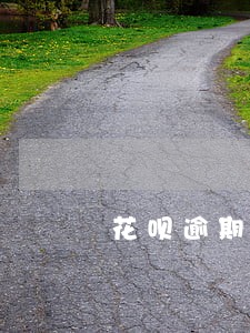 花呗逾期四天征信受损吗 花呗逾期四天征信受损吗