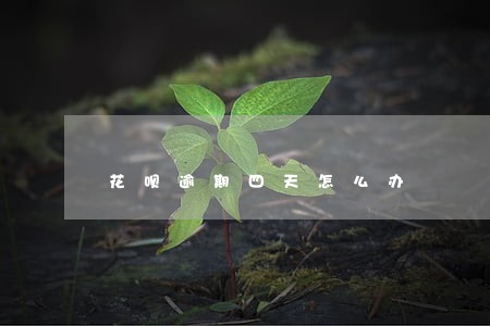 花呗逾期四天怎么办 花呗逾期四天怎么办