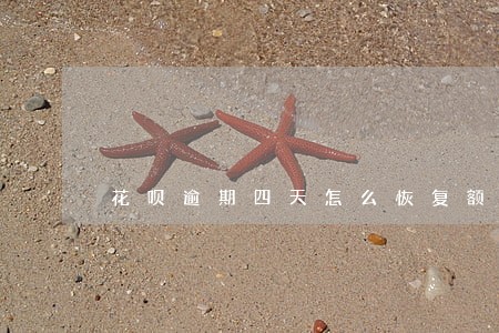 花呗逾期四天怎么恢复额度 花呗逾期四天怎么恢复额度