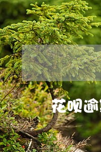 花呗逾期四天打电话催款 花呗逾期四天打电话催款