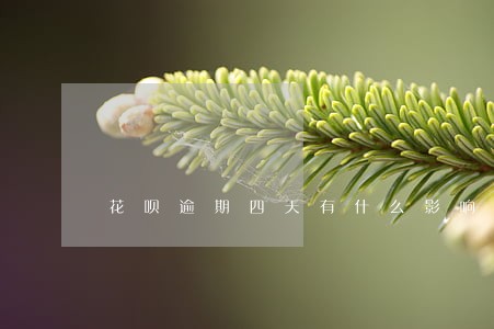 花呗逾期四天有什么影响吗 花呗逾期四天有什么影响吗