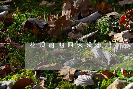 花呗逾期四天没事吧 花呗逾期四天没事吧