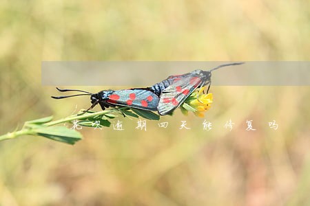 花呗逾期四天能修复吗 花呗逾期四天能修复吗