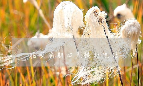 花呗逾期四天被打电话 花呗逾期四天被打电话