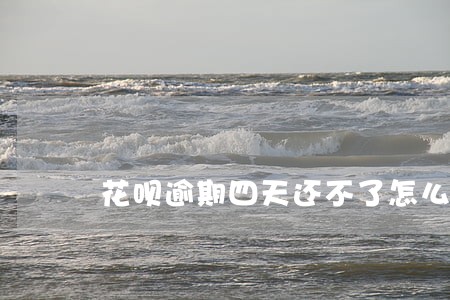 花呗逾期四天还不了怎么办 花呗逾期四天还不了怎么办
