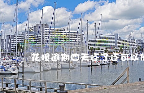花呗逾期四天还了还可以使用么 花呗逾期四天还了还可以使用么
