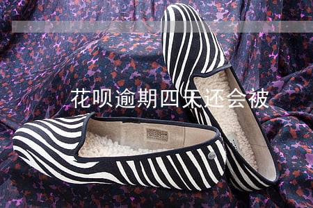 花呗逾期四天还会被 花呗逾期四天还会被