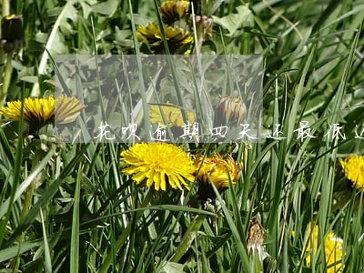 花呗逾期四天还最低还款 花呗逾期四天还最低还款