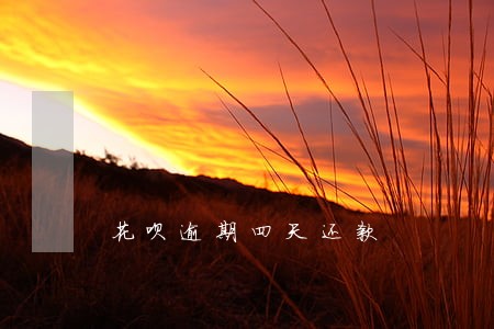 花呗逾期四天还款 花呗逾期四天还款