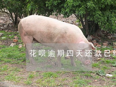 花呗逾期四天还款已经无法使用 花呗逾期四天还款已经无法使用