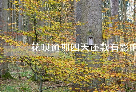 花呗逾期四天还款有影响吗 花呗逾期四天还款有影响吗