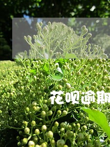 花呗逾期四天还能刷出来么 花呗逾期四天还能刷出来么