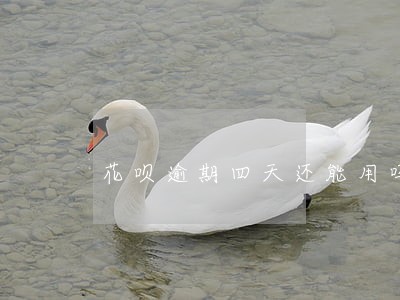 花呗逾期四天还能用吗 花呗逾期四天还能用吗