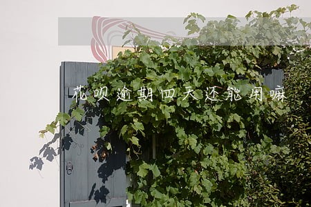 花呗逾期四天还能用嘛 花呗逾期四天还能用嘛